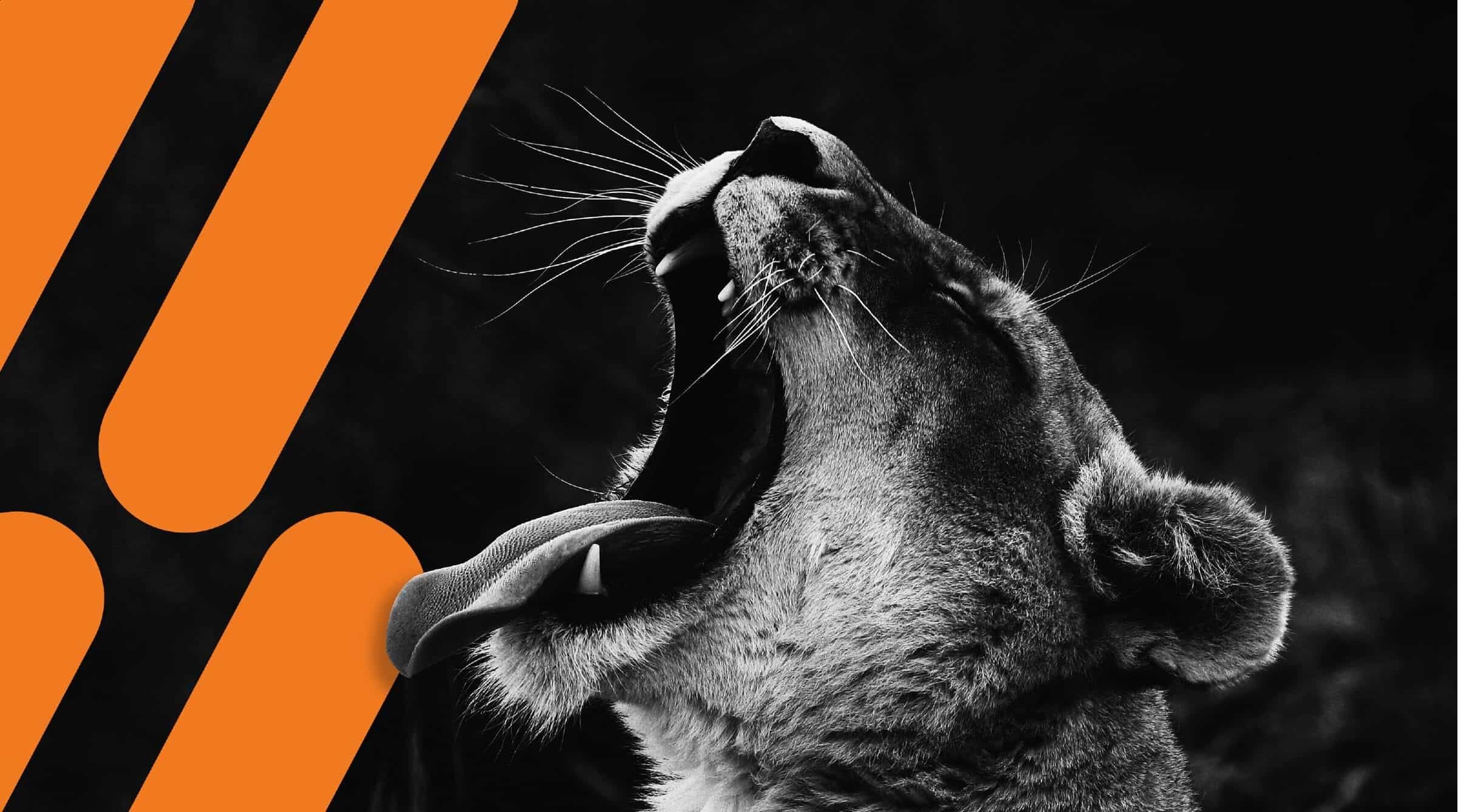 Topeka Zoo Case Study | Tiger