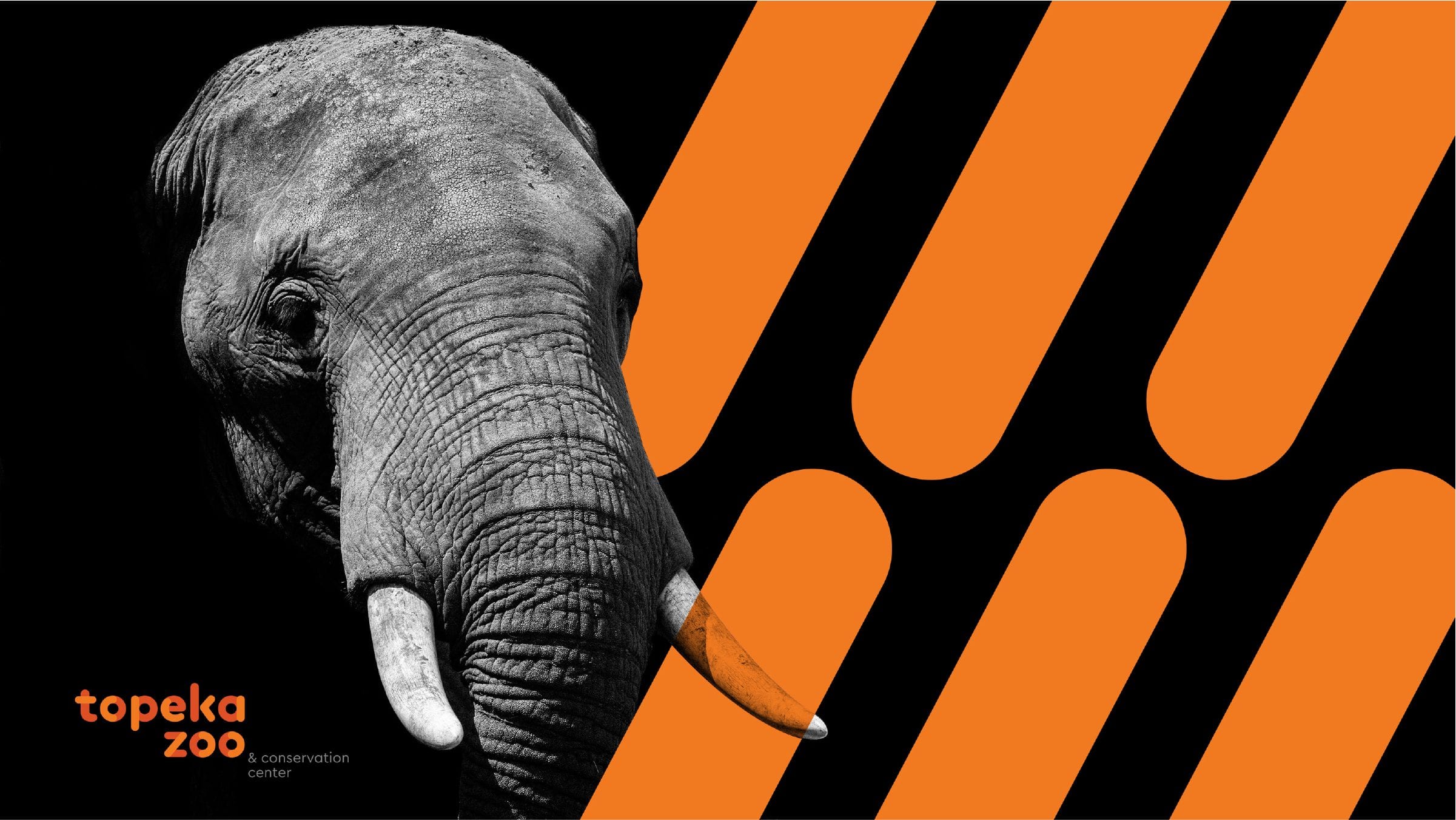 Topeka Zoo Case Study