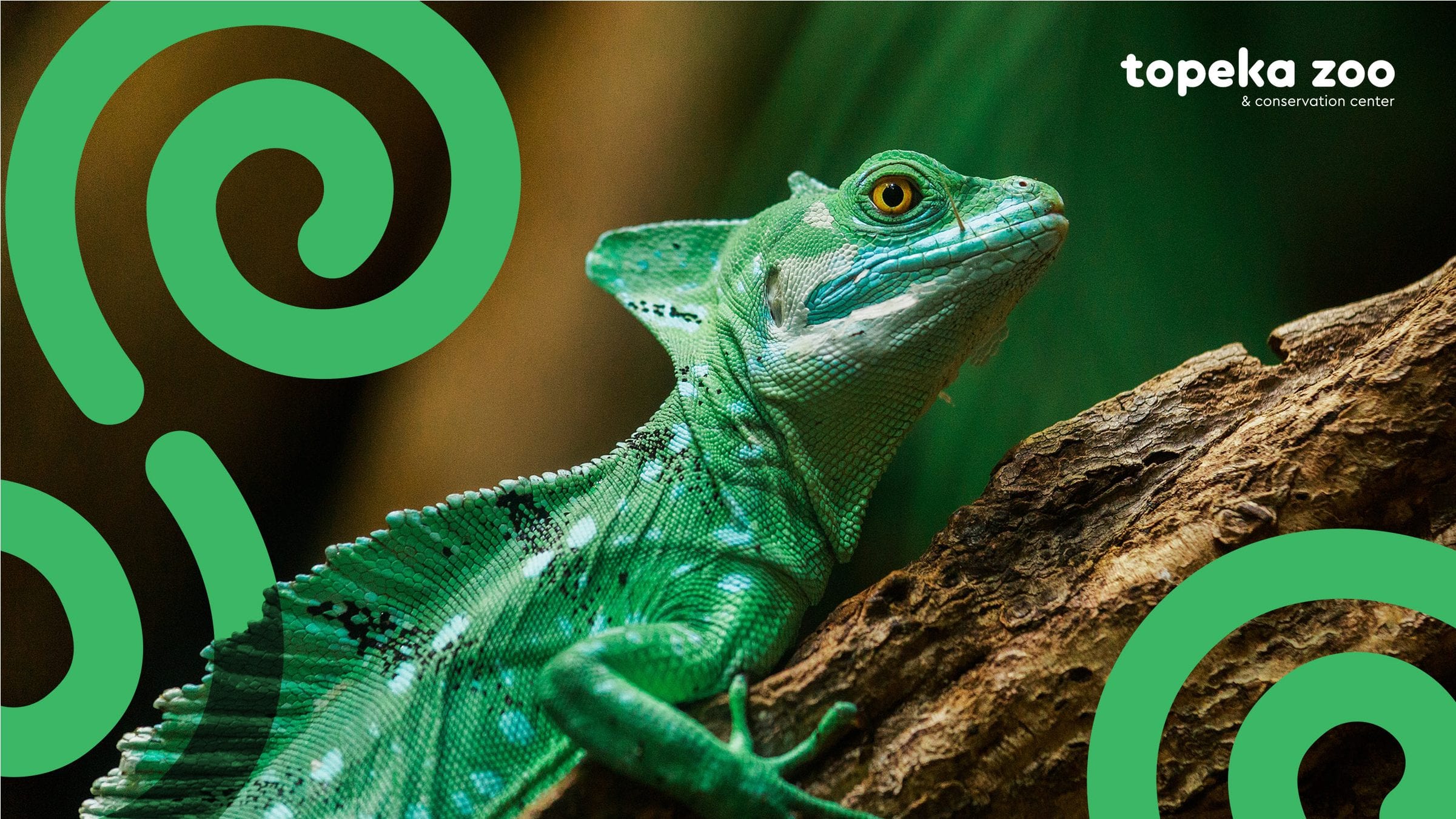 Topeka Zoo Case Study