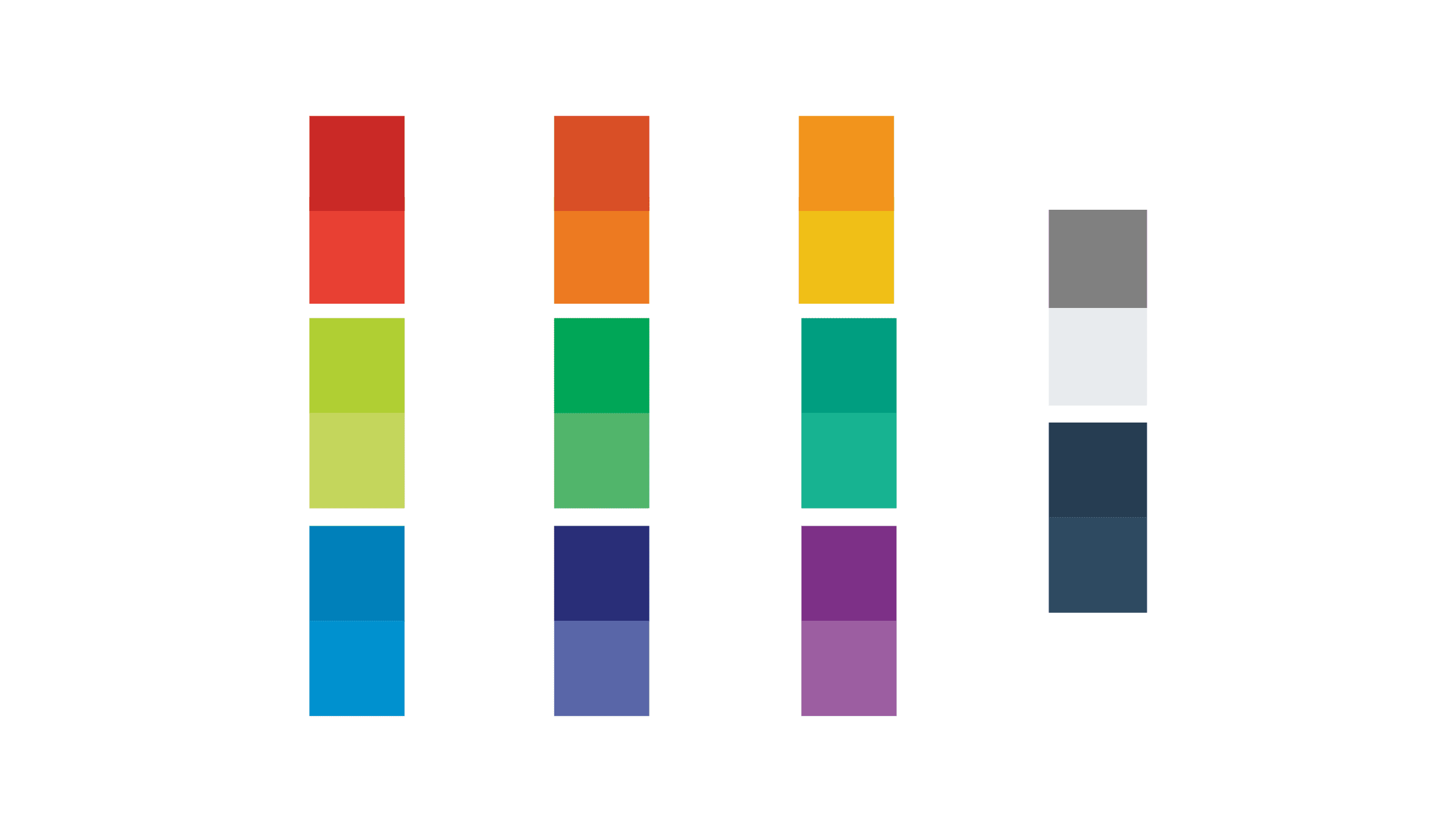 Topeka Zoo Case Study | Colors