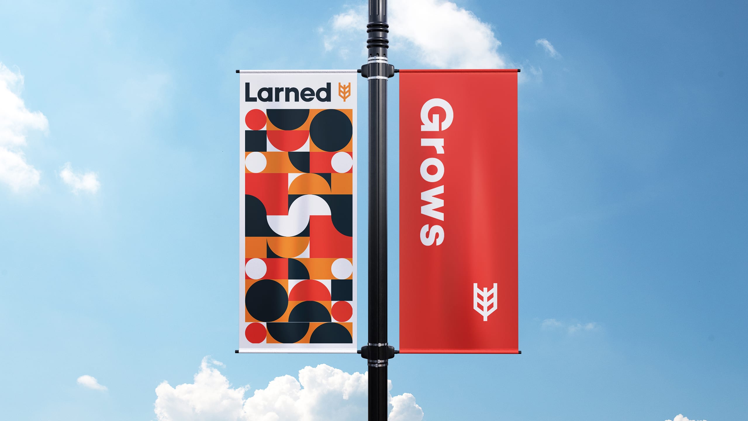 Larned Kansas Case Study