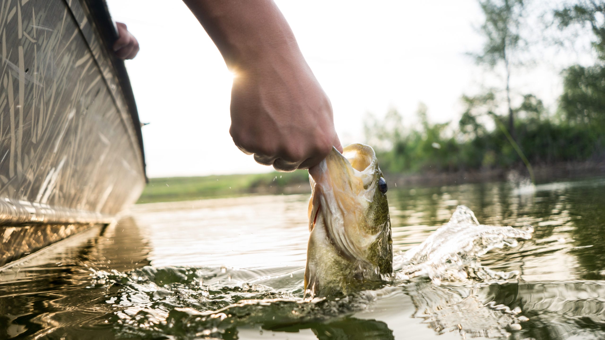 Kansas Outdoor Corps | Spring Finishing
