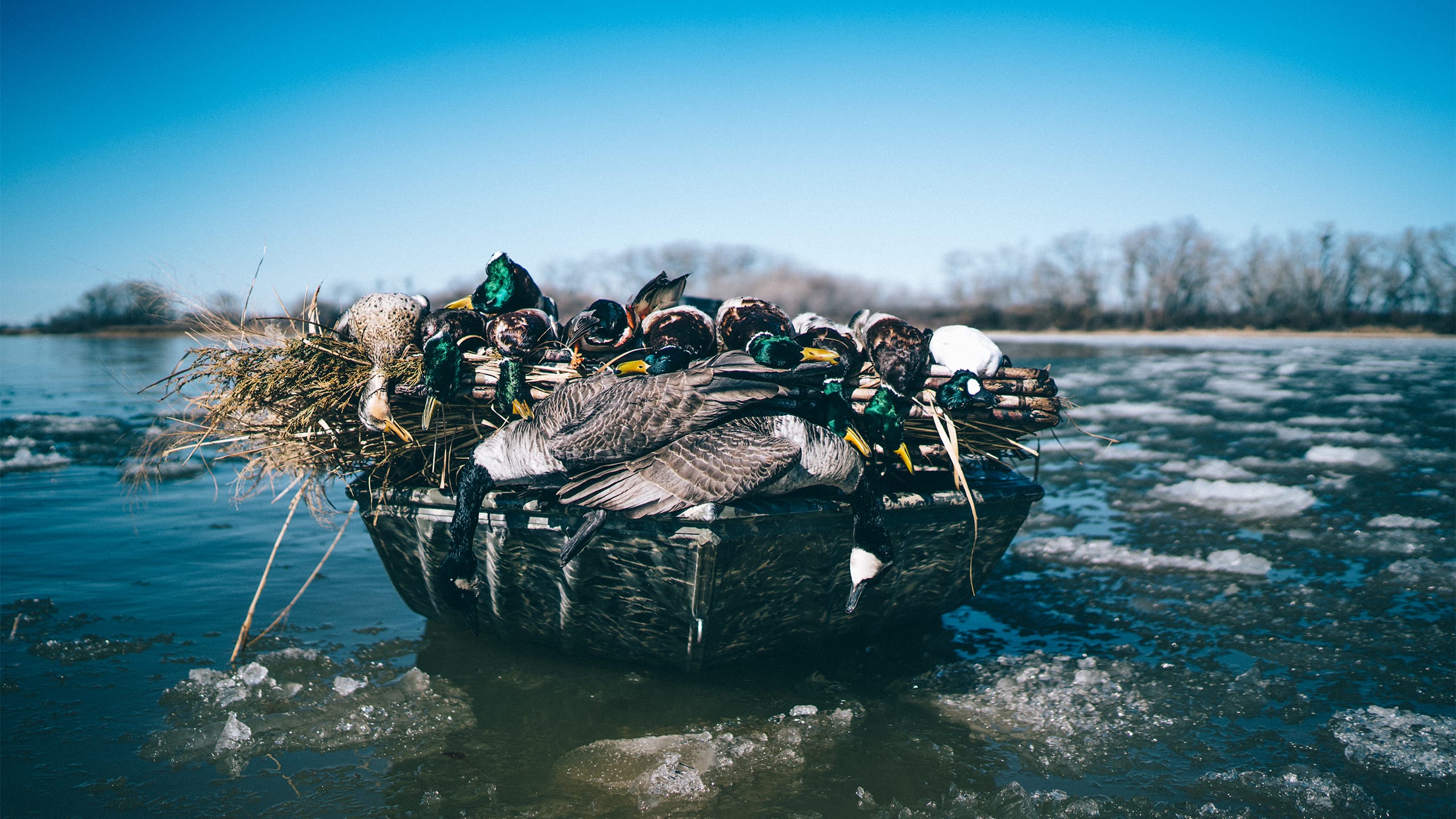 Kansas Outdoor Corps | Duck Hunting